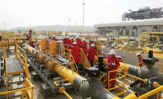 这家阀门公司两套调压装置关键阀门成功通过中油管道公司现场工业性试验验收