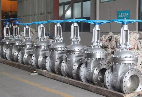 良工阀门集团 高端不锈钢阀门系列产品的卓越制造商